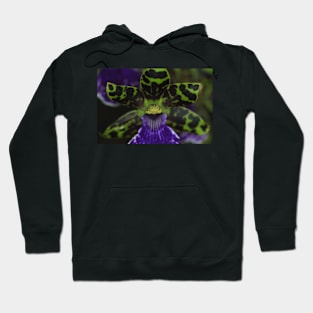 Zygopetalum Orchid Macro Hoodie